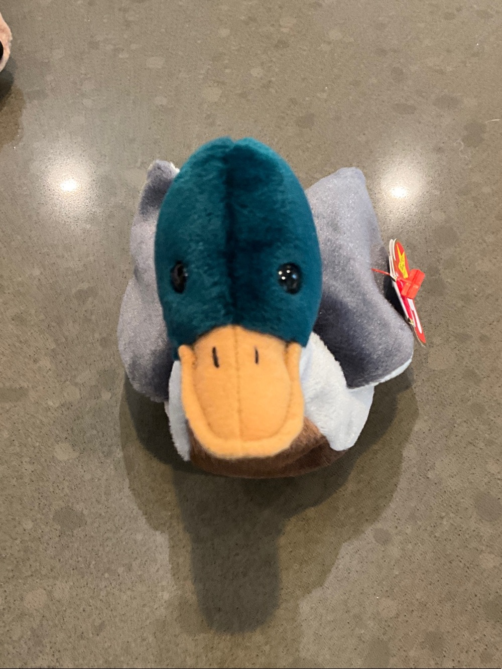 5/20 TY Duck Small Pet Toy - Teal, Gray, Brown